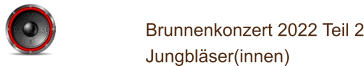 Brunnenkonzert 2022 Teil 2 Jungbläser(innen)